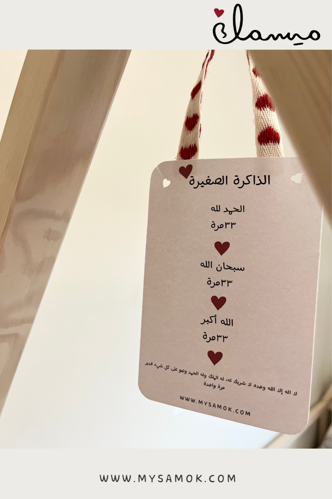 الذاكرة الصغيرة