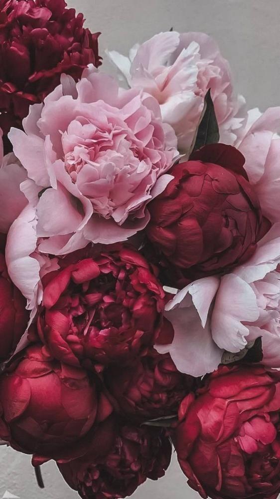 اختار عطر شمعتك … وصمّم أجواءك