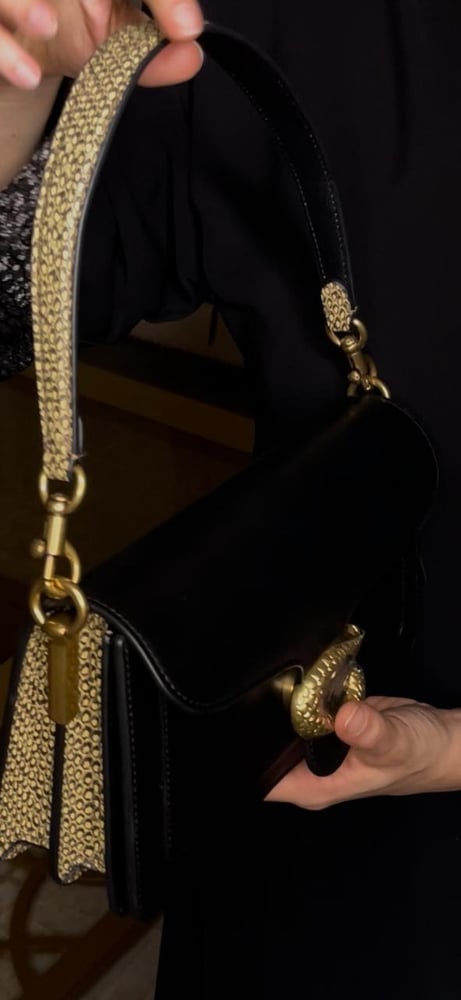كوتش تابي 26 جلد الثعبان