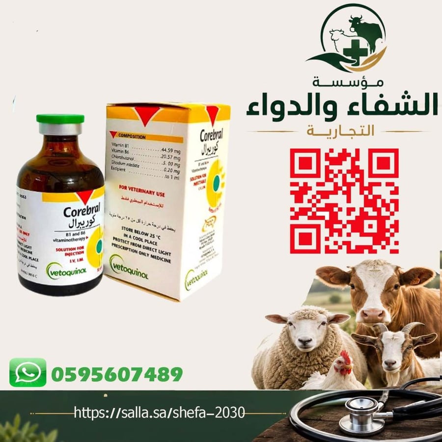 كوربيرال فرنسي فيتامين ب١ وب٦ - ٥٠ مل