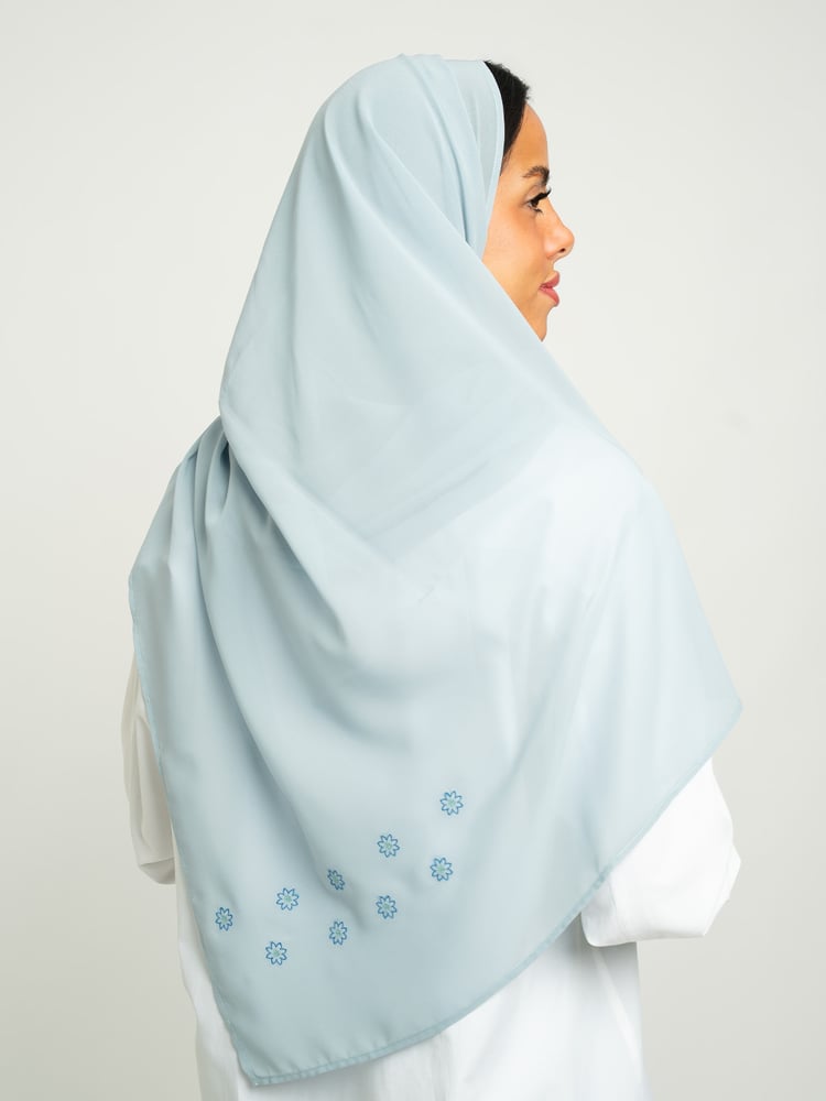 طرحه ورود متناثرة ليزر سماوي بودر