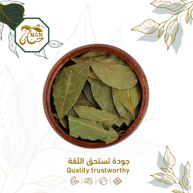 ورق  الغار