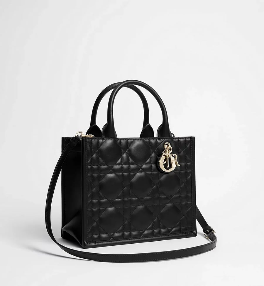 small dior book tote