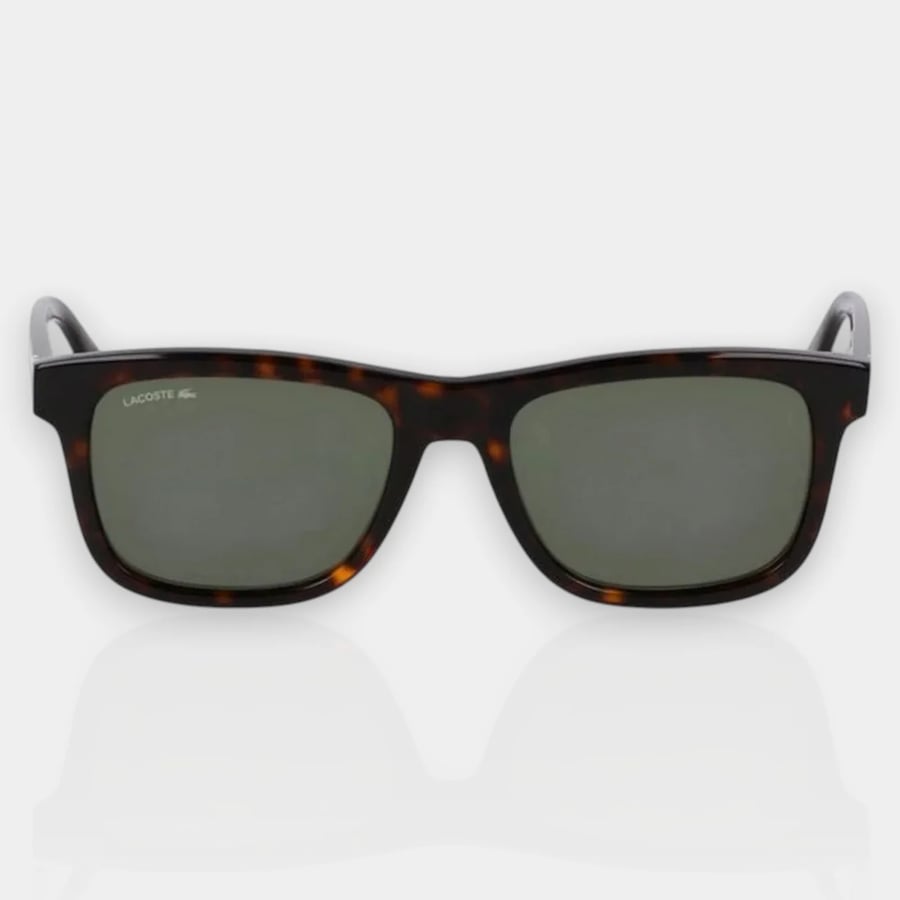 نظارة شمسية ماركة LACOSTE موديل L6014S 230