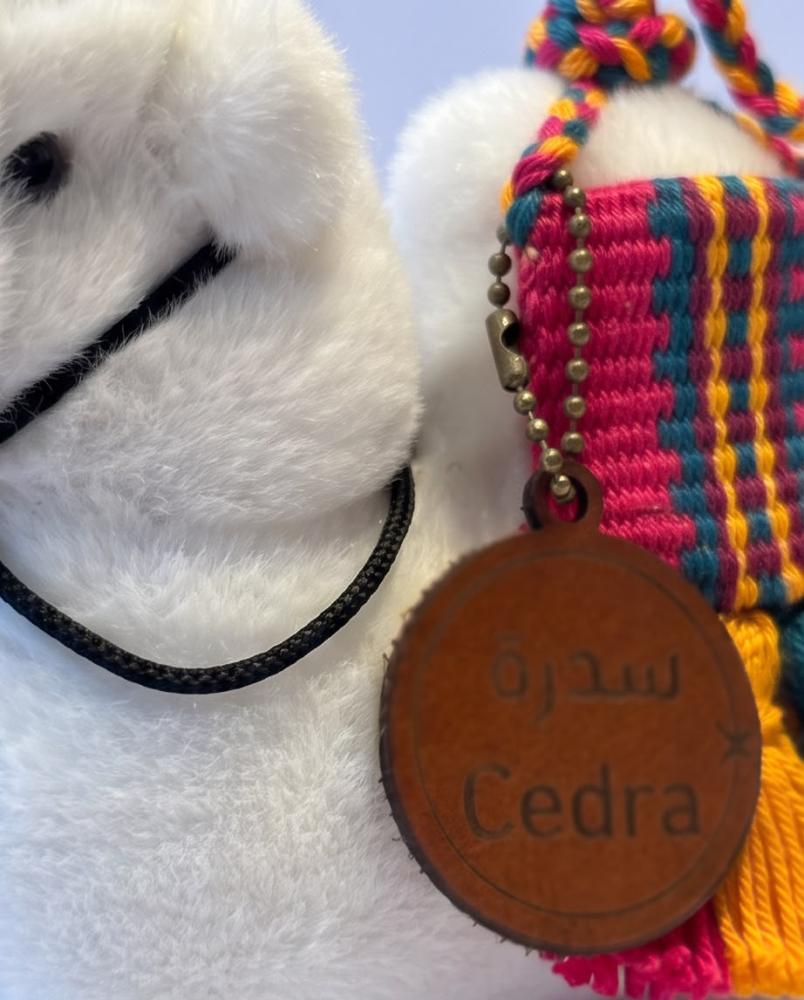 الناقة سدرة