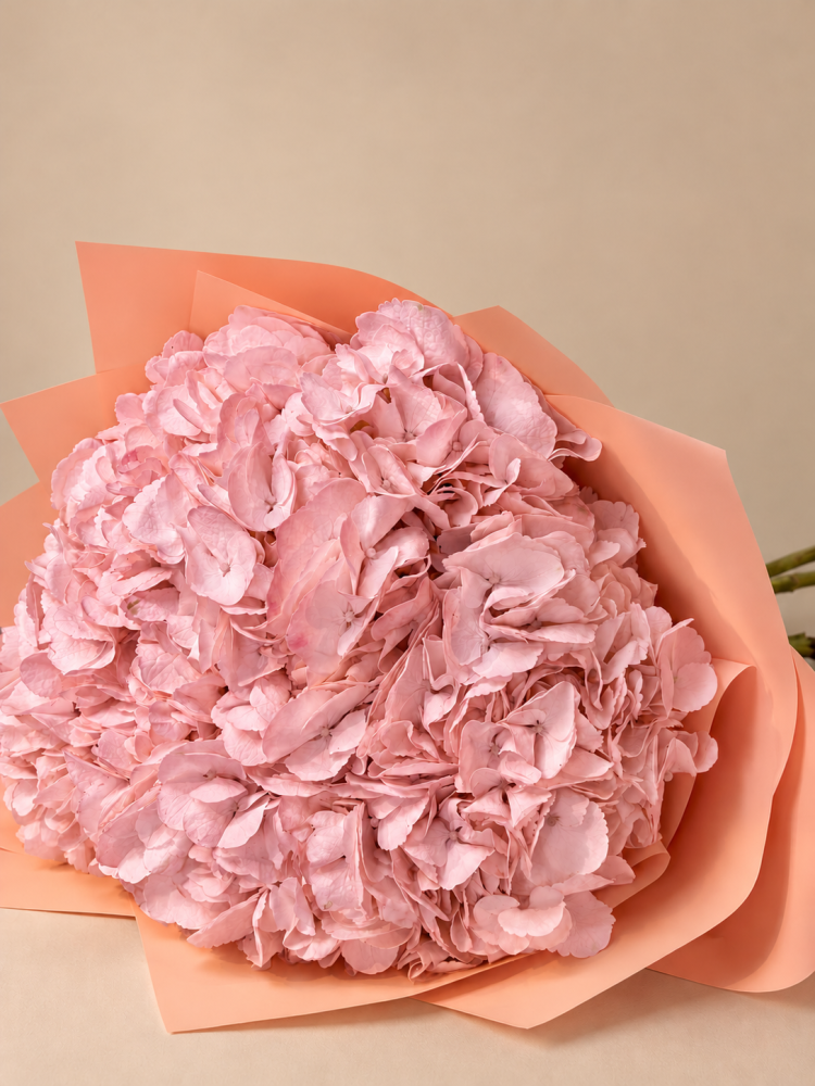 غيمة وردية | Nuage Rose
