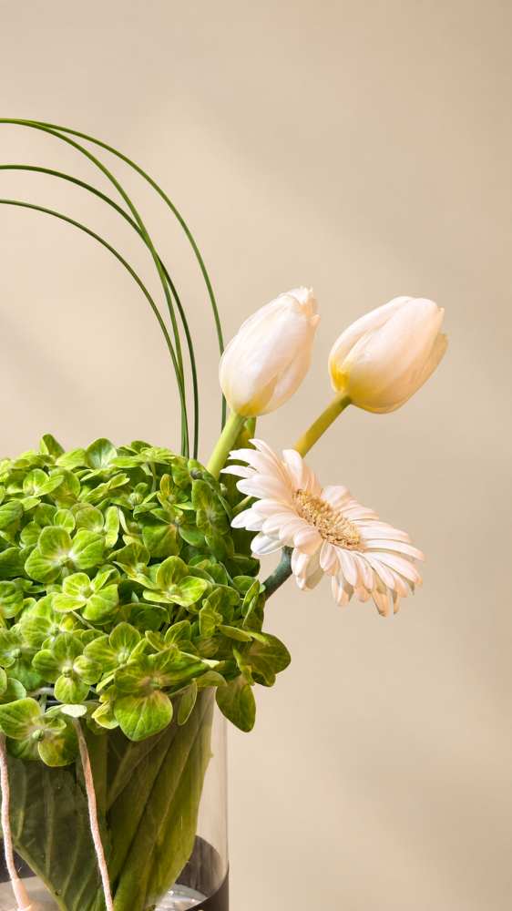 نسمة الربيع | Brise de Printemps