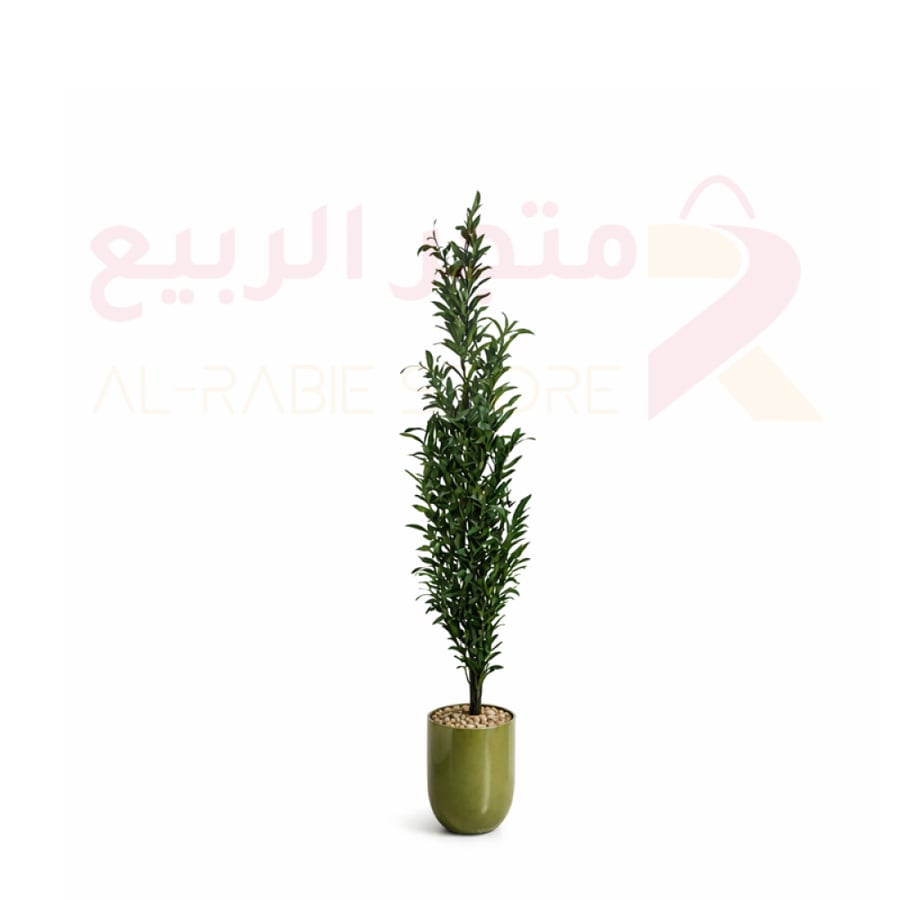 شجرة زيتون صناعية بمركن بلاستيك ذهبي 170سم رقم R446-102