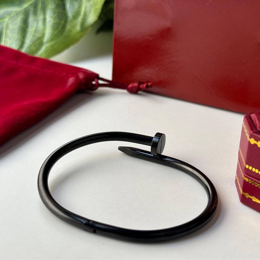 Cartier bracelet with black nail, including accessories