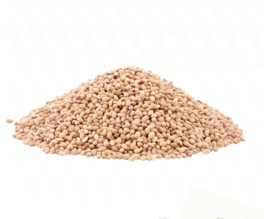 Natural Syrian mastic 250 grams