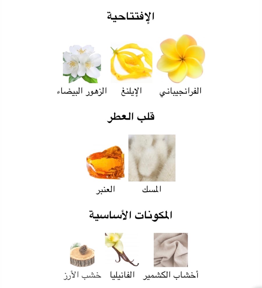 عطر نارسيسو عنبر 90مل او دي بارفيوم