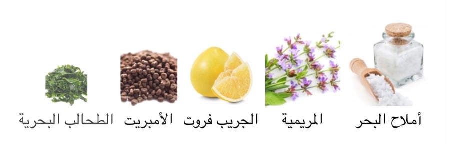 عطر وود ساج آند سي سولت من جو مالون 100مل