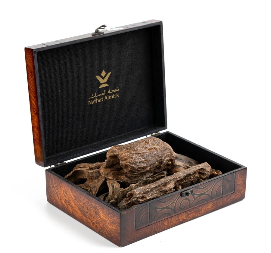 A very rare and old Malaysian oud.