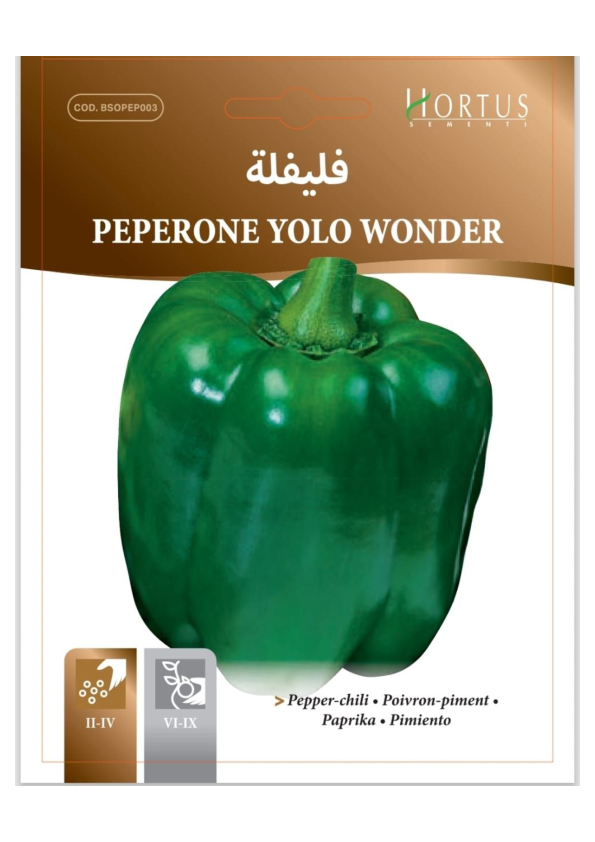 بذور فلفل أخضر حلو Yolo Wonder