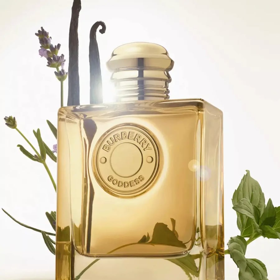 عطر جوديس انتينس من بربري أو دو برفيوم نسائي 100 مل