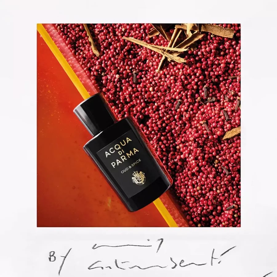 عطر عود آند سبايسي من أكوا دي بارما أو دو برفيوم للجنسين 100 مل