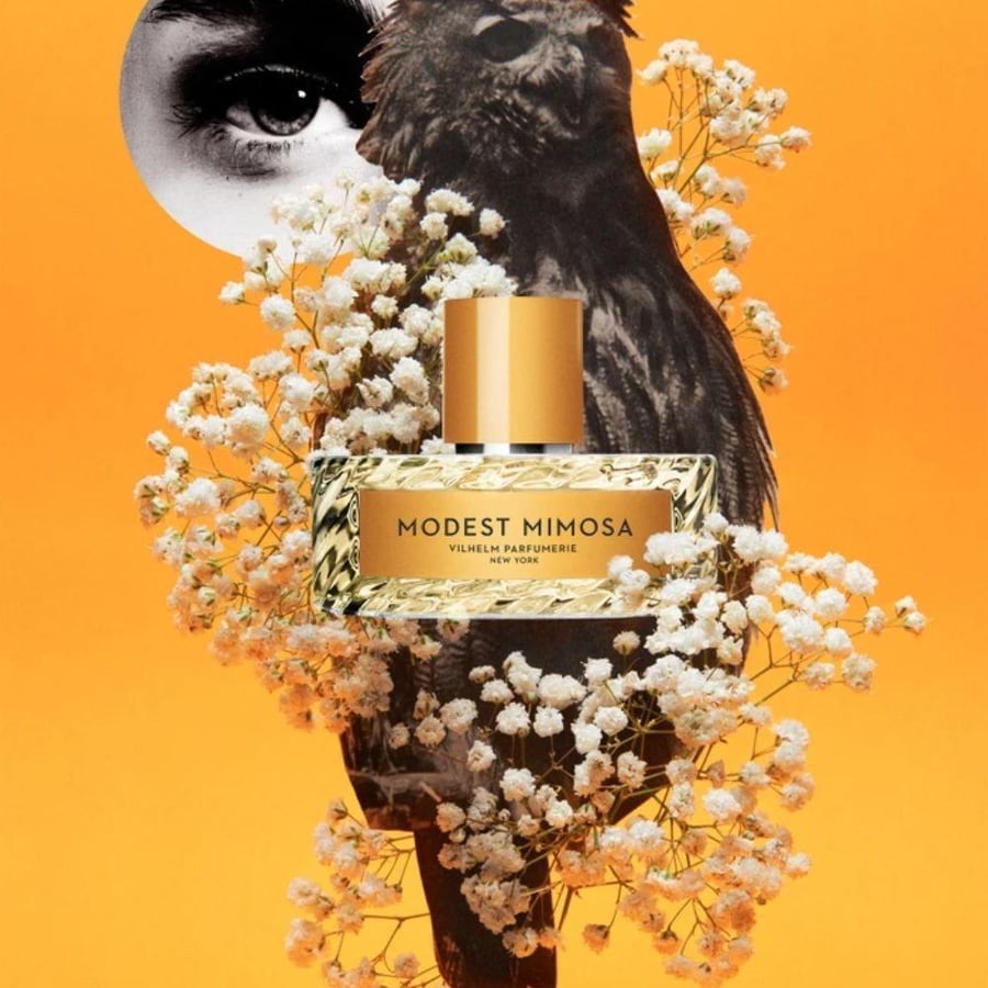 عطر فيلهلم موديست ميموزا 100 مل – Vilhelm Modest Mimosa Eau de Parfum