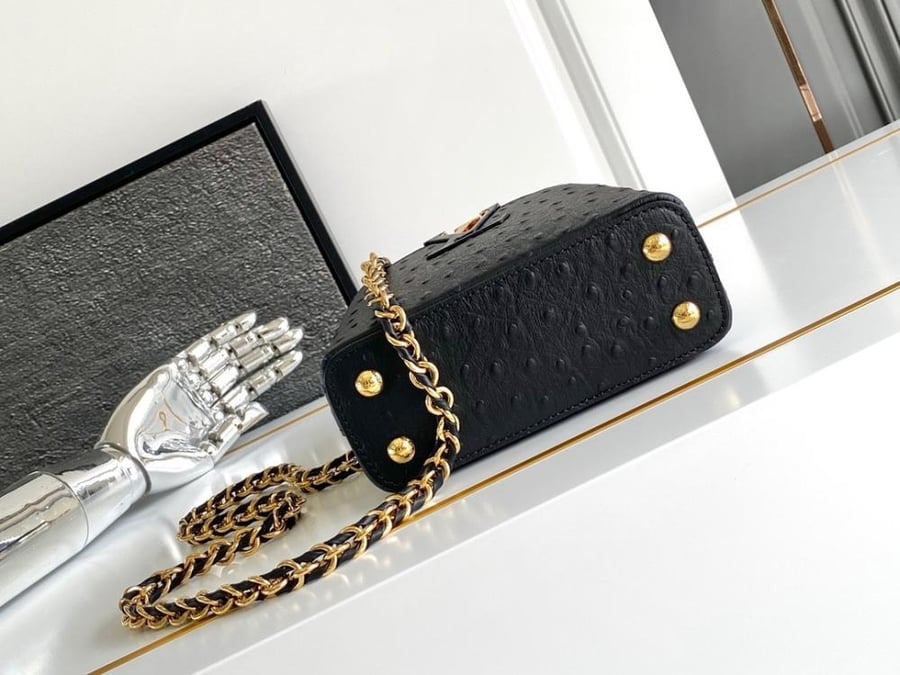 لوي فيتون Capucines مقاس 16.3cm