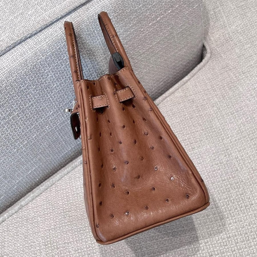 ايرمز Birkin مقاس 25cm