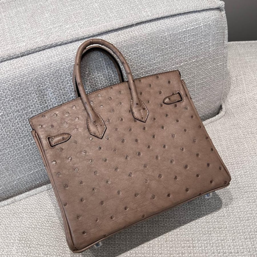 ايرمز Birkin مقاس 25cm