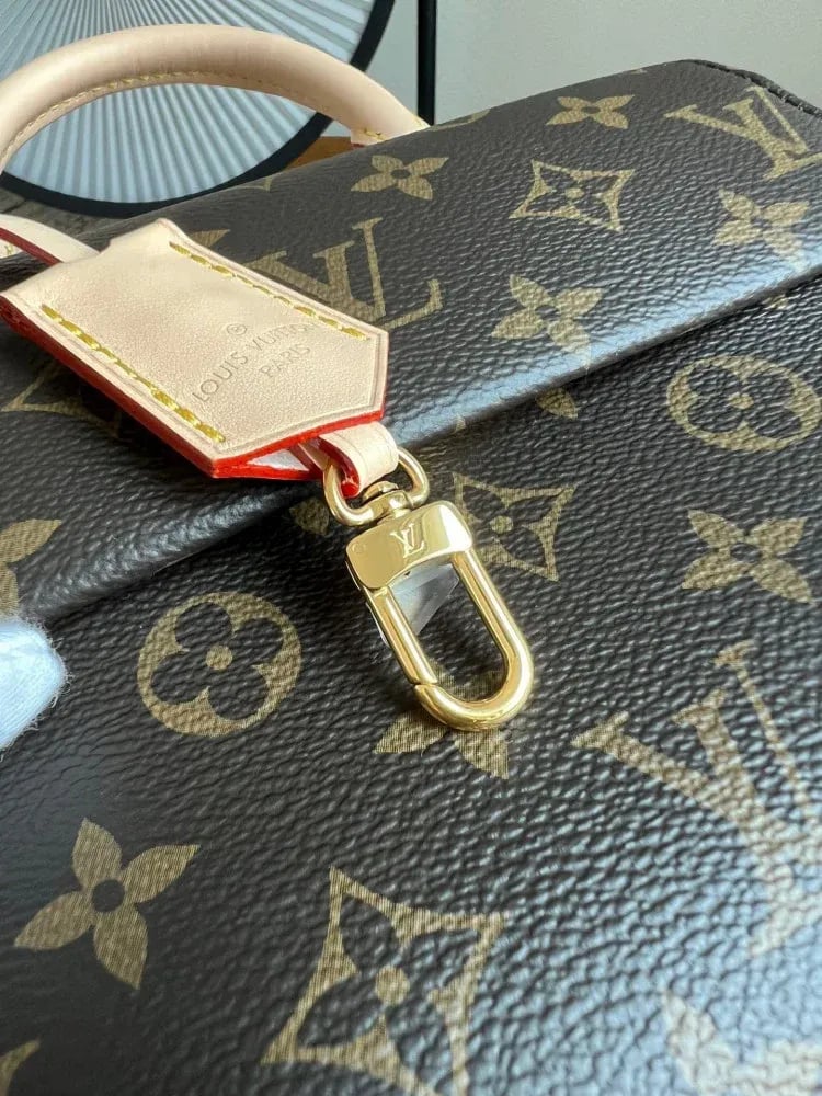 لوي فيتون Cluny Mini مقاس 20cm