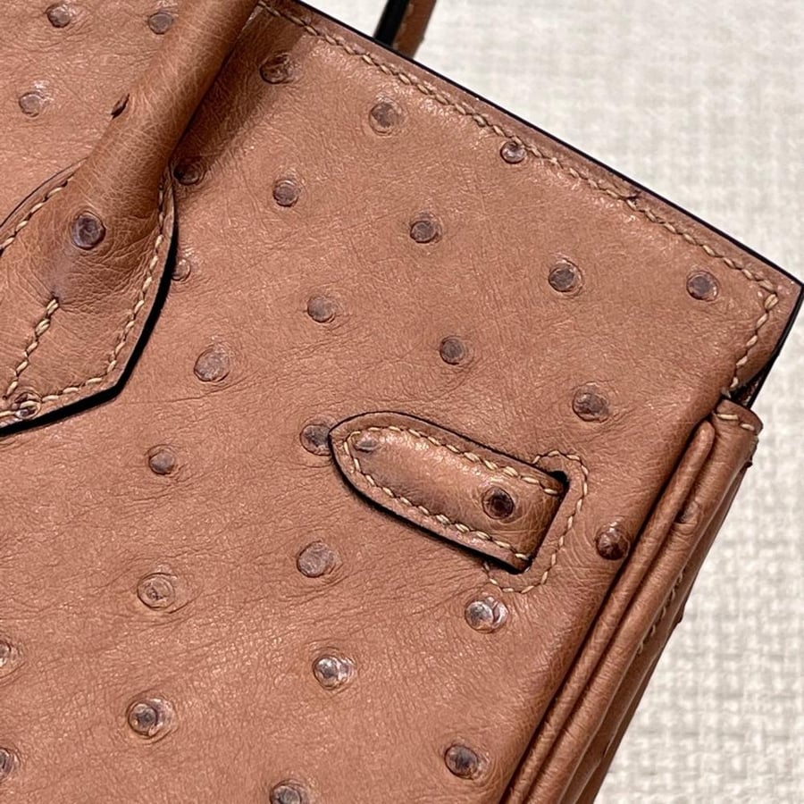 ايرمز Birkin مقاس 25cm