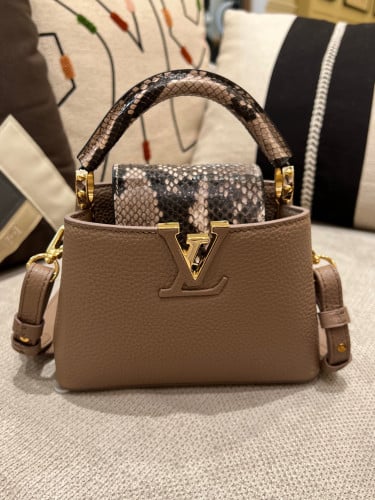 لوي فيتون كابسين ميني 21cm