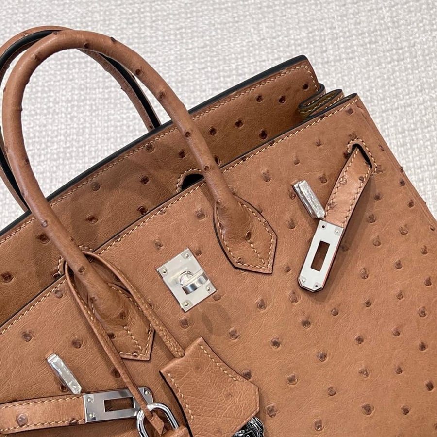 ايرمز Birkin مقاس 25cm