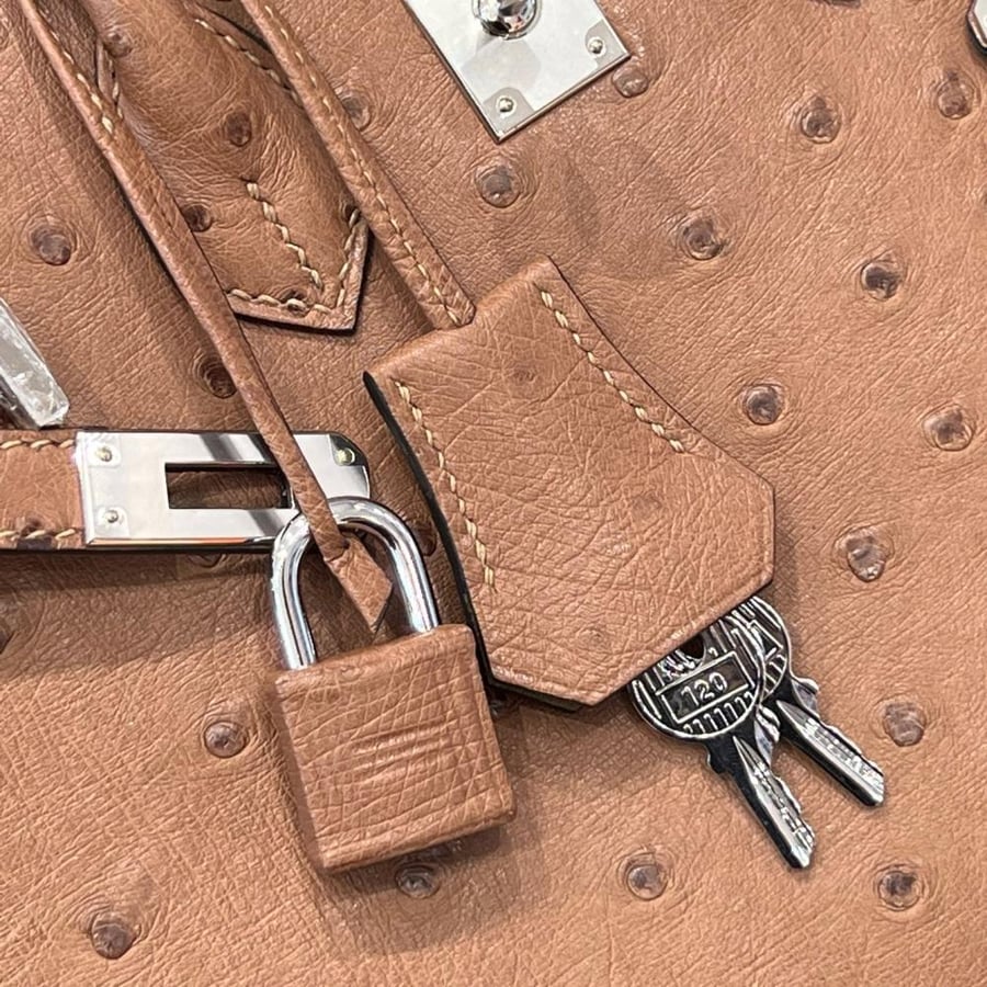 ايرمز Birkin مقاس 25cm