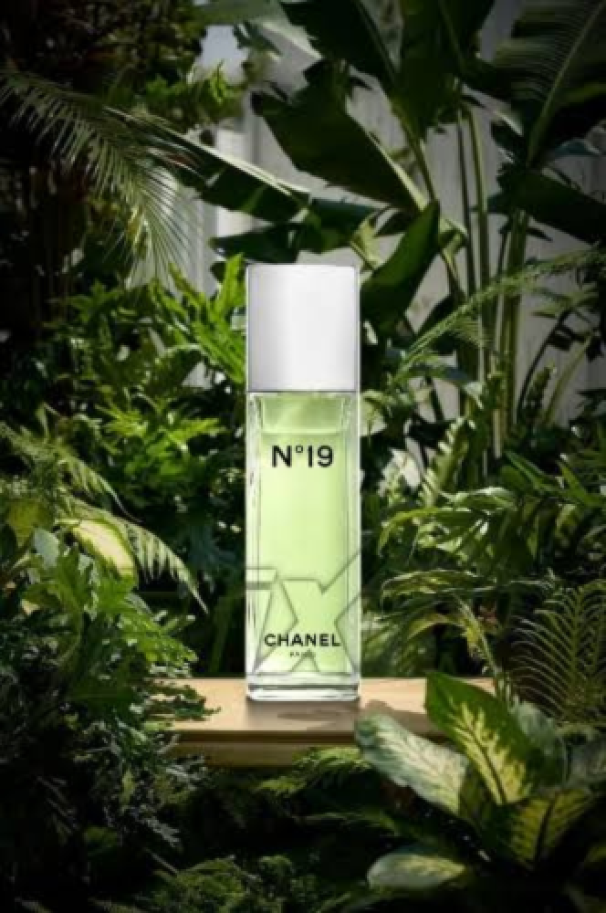 عطر شانيل نمبر 19 اودي تواليت 100مل