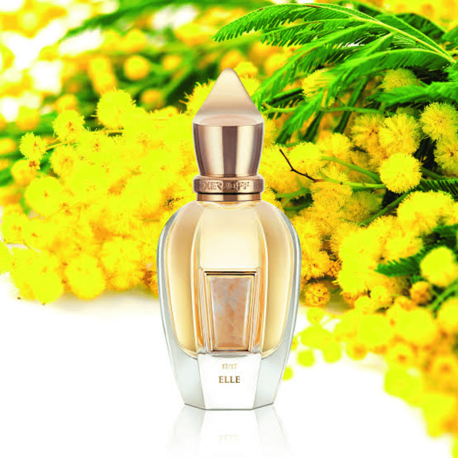 عطر زيرجوف ايلي بارفيوم 100مل