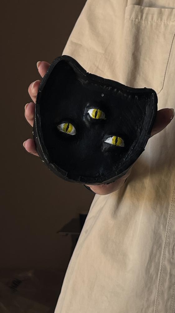 black cat