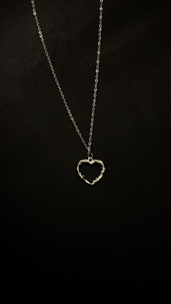The heart