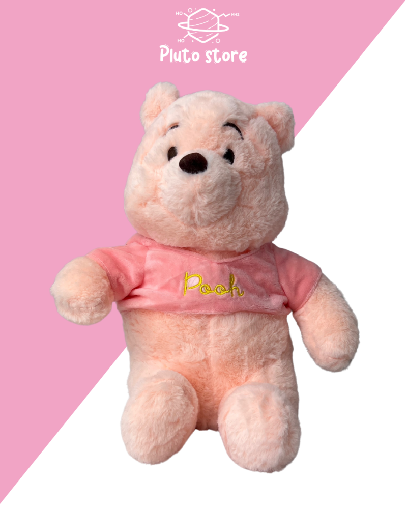 Winnie doll the teddy bear