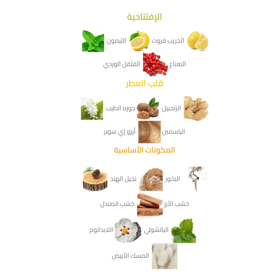 عطر كوكو شانيل بلو او دي توليت 100 مل