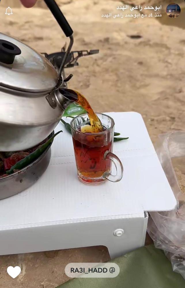 إبريق ترنجيا 600 مل