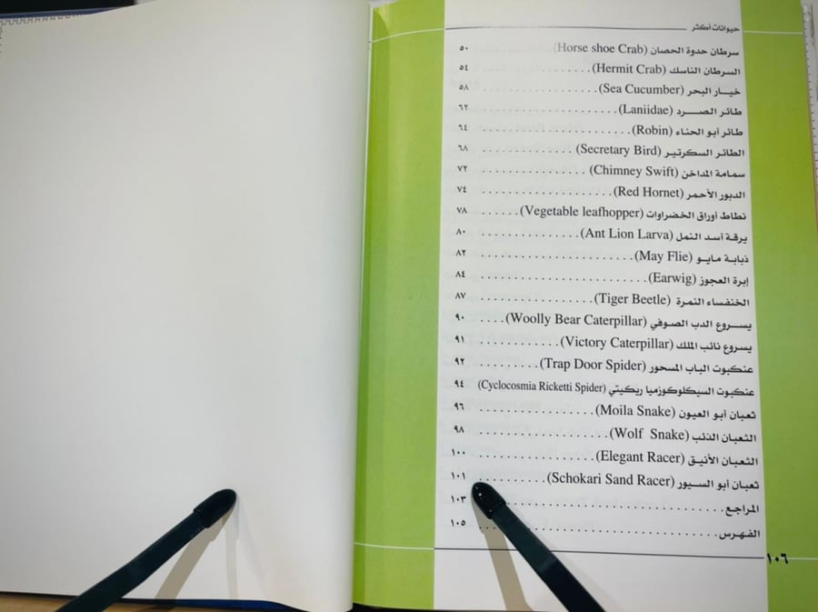 حيوانات أكثر