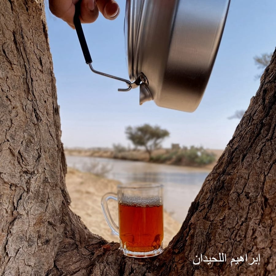 إبريق ترنجيا 900 مل