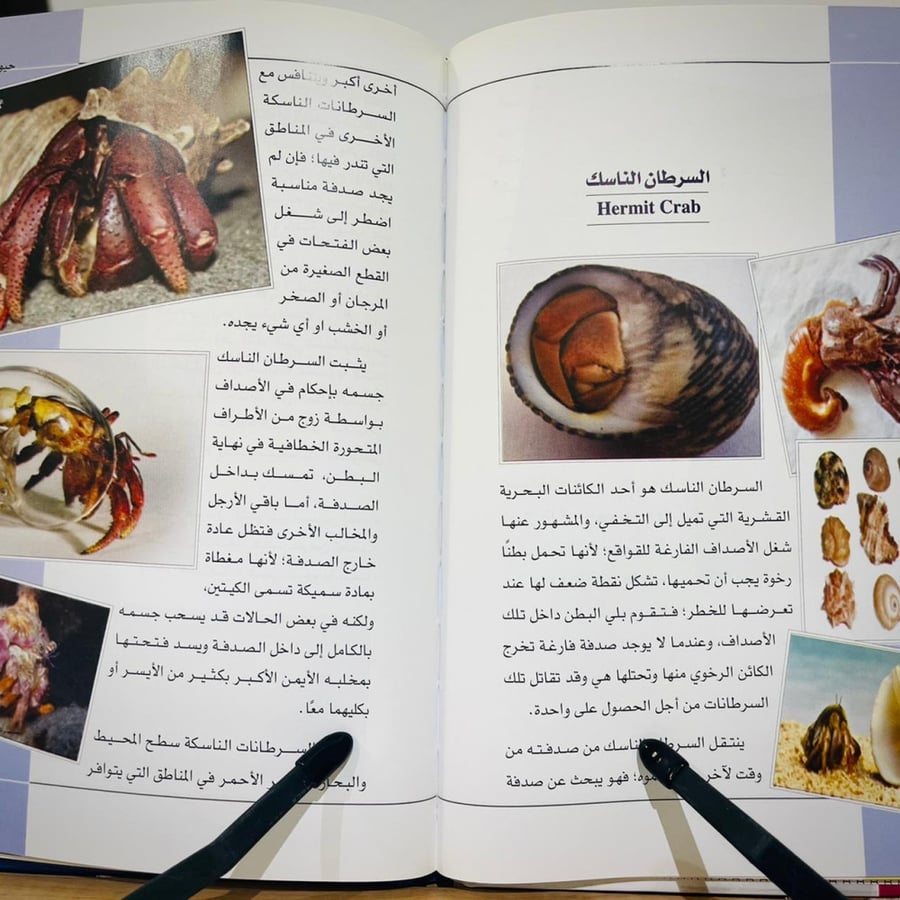 حيوانات أكثر