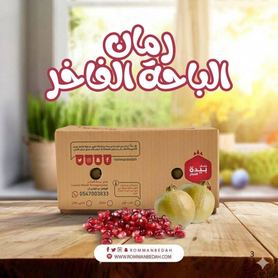 ميني رمان