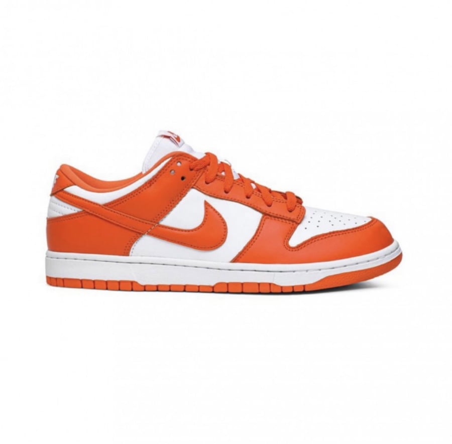 Nike dunk sp