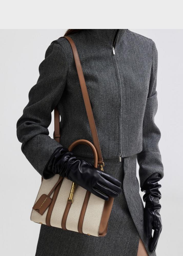 Charles and Keith bag