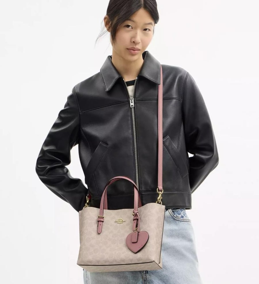 Coach bag