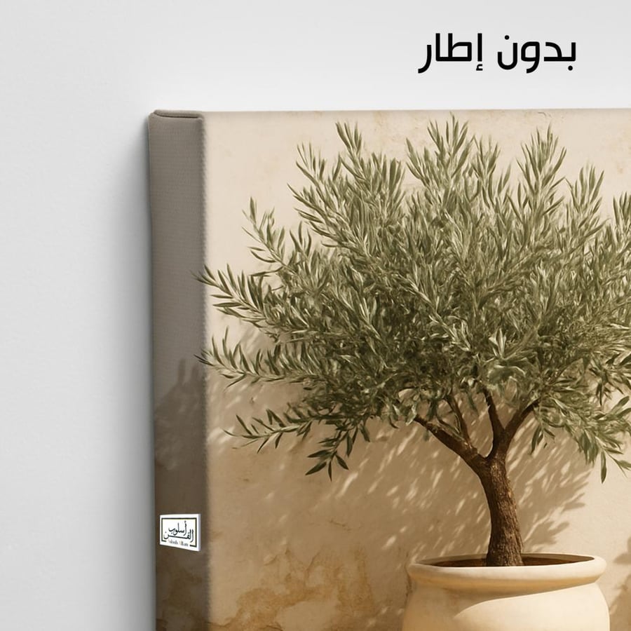 PLNT10   تناغم الزيتون