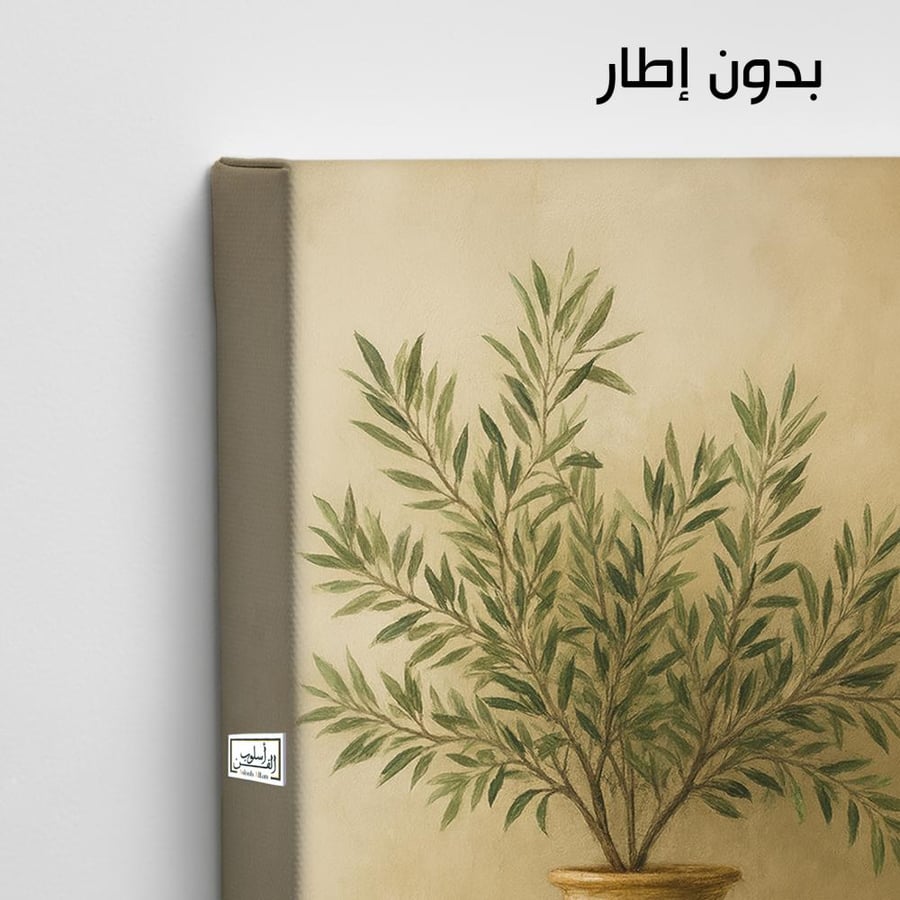 PLNT18  ظلال أوراق الزيتون