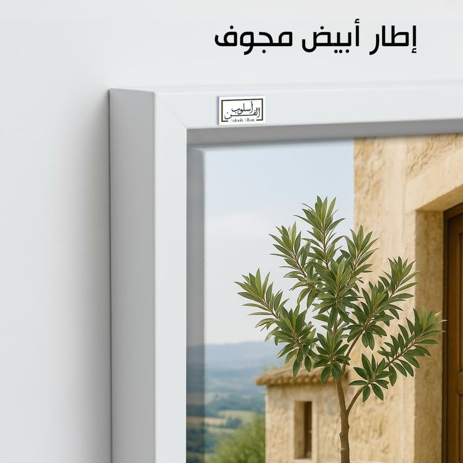 PLNT5  شرفة الزيتون