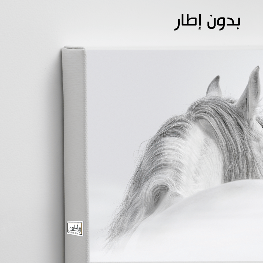 HR73 A contemporary black and white art piece depicting the back of a beautiful white horse's head, with a focus on the horse's bridle and eyes. The painting captures the purity and beauty of the horse, bringing a sense of calmness and elegance to any s