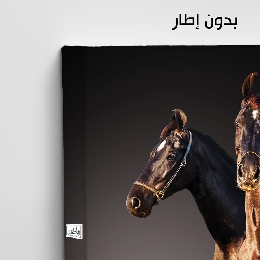 HR102 A contemporary art piece depicting two horses, one brown and one black, standing side by side against a dark background. The painting captures the power and beauty of the horses, bringing a sense of strength and elegance to any space