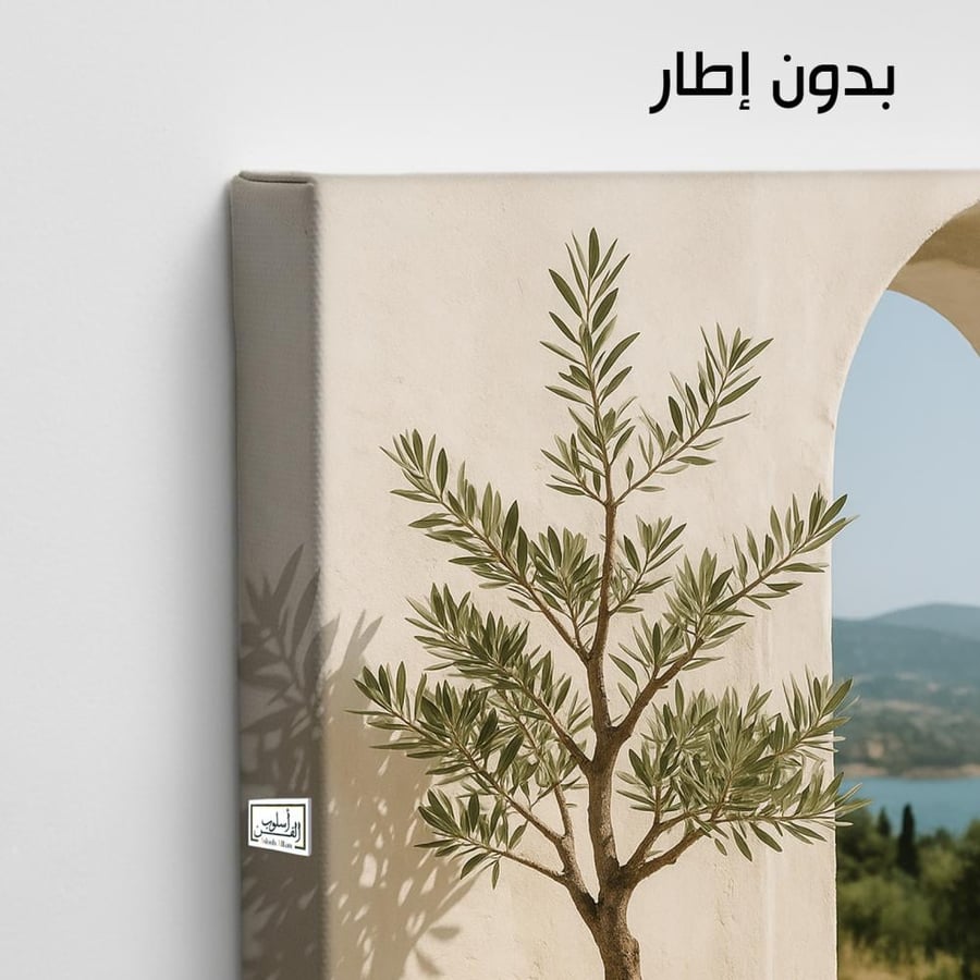 PLNT20 نافذة على فخارة الزيتون