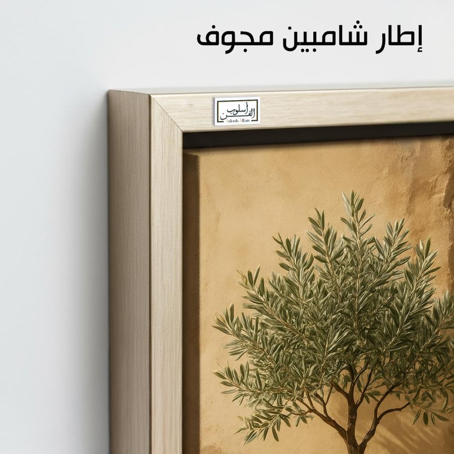 PLNT31  زيتونة في ضوء الصباح